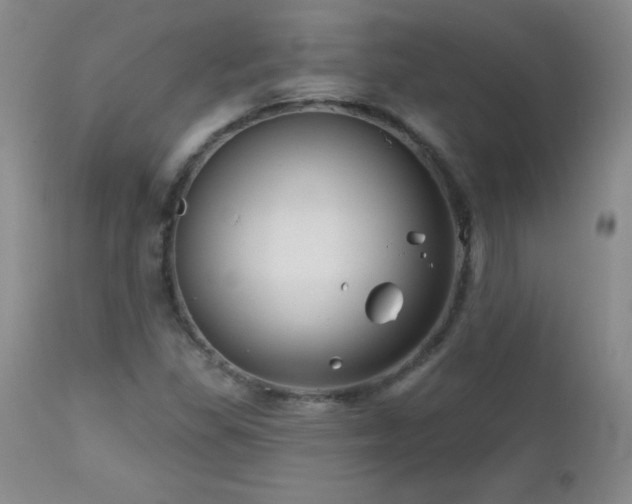 X0000113121309200908281429