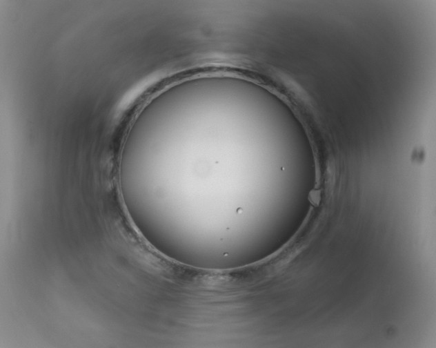 X0000113121310200908281429