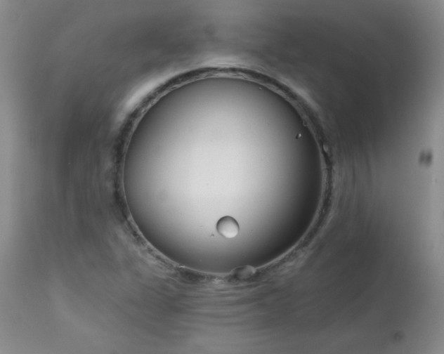 X0000113121311200908281429