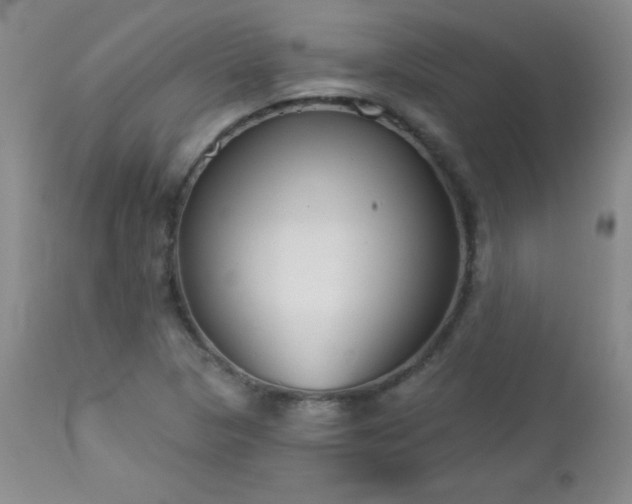 X0000113121313200908281429