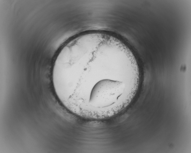 X0000113121314200908281429