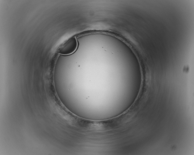 X0000113121315200908281429