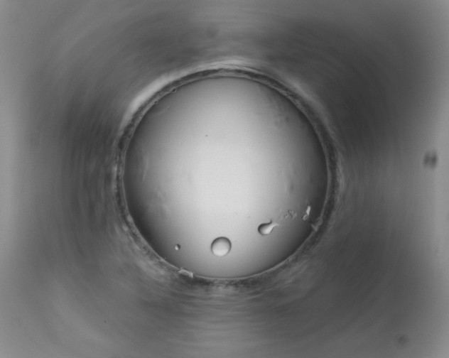 X0000113121316200908281429