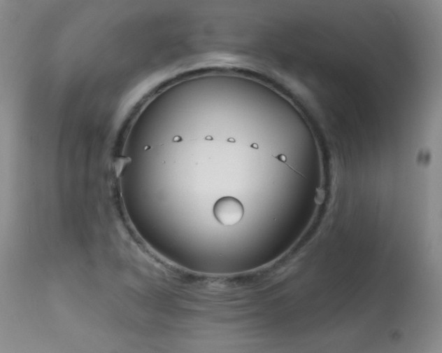 X0000113121318200908281429