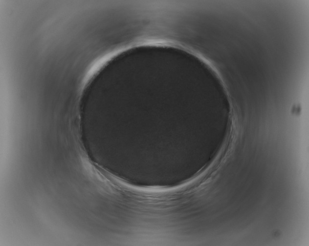 X0000113121319200908281429