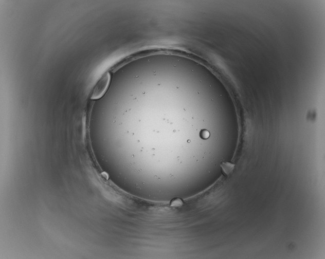 X0000113121320200908281429