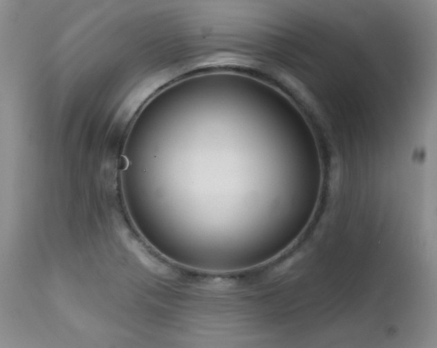 X0000113121321200908281429