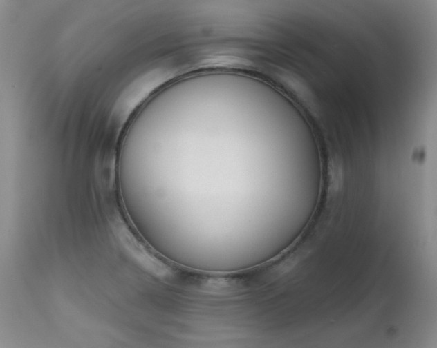 X0000113121322200908281429