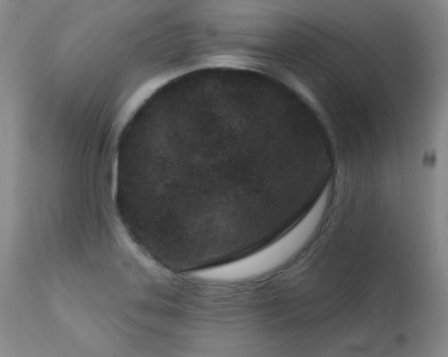 X0000113121323200908281429