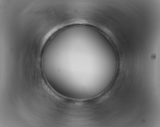 X0000113121326200908281429