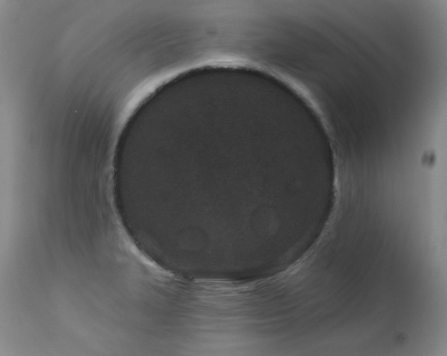 X0000113121327200908281429