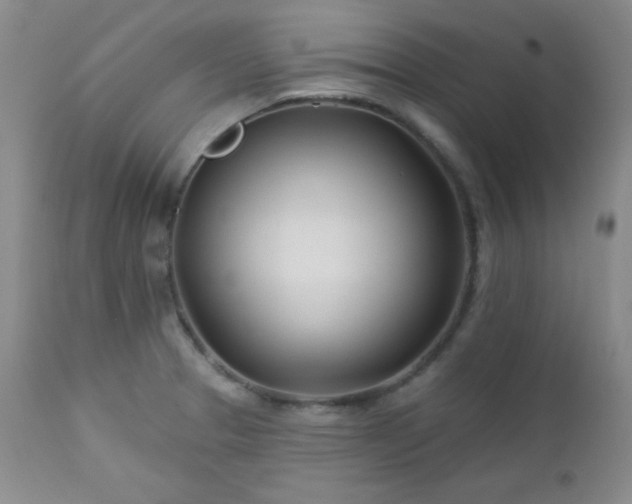 X0000113121329200908281429