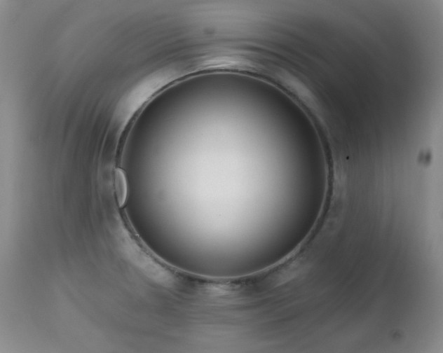 X0000113121330200908281429