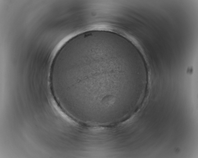 X0000113121331200908281429