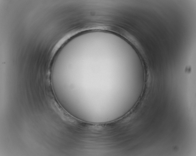 X0000113121332200908281429