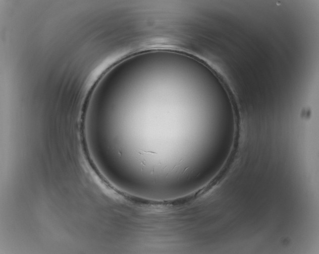 X0000113121333200908281429