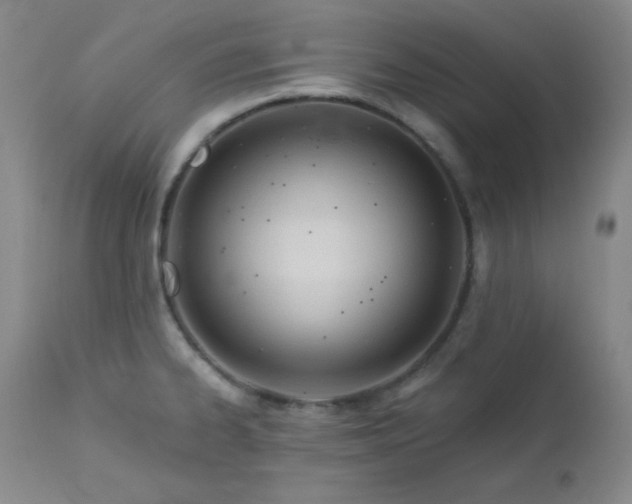 X0000113121334200908281429