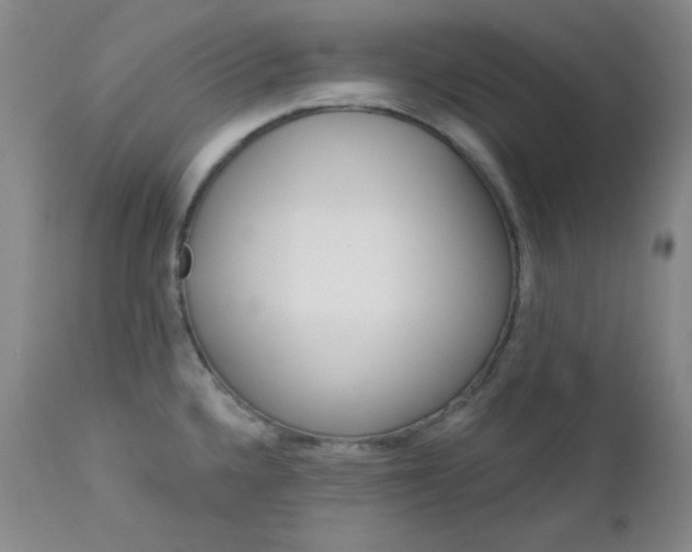 X0000113121336200908281429