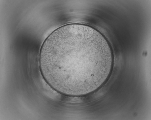 X0000113121338200908281429