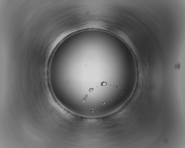 X0000113121339200908281429