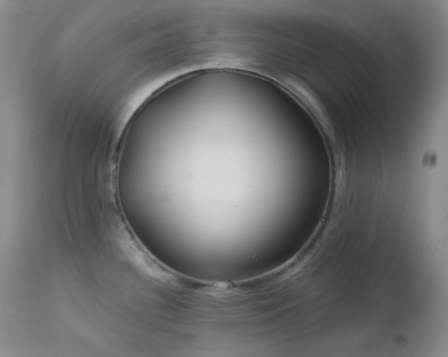 X0000113121340200908281429