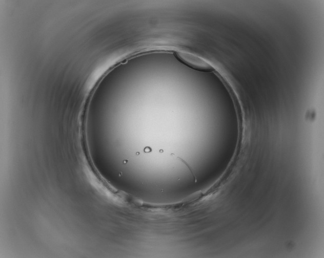 X0000113121341200908281429