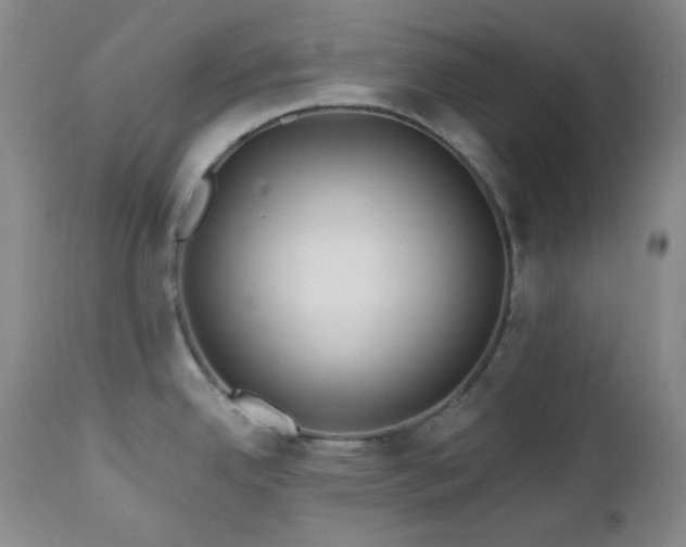 X0000113121342200908281429