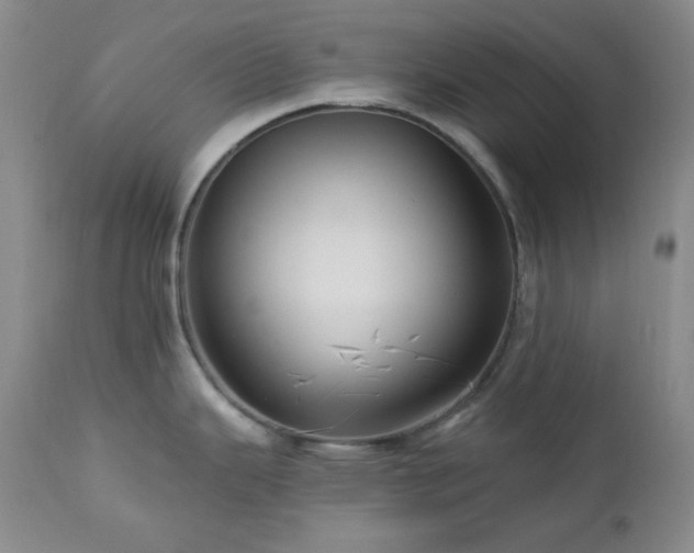 X0000113121343200908281429