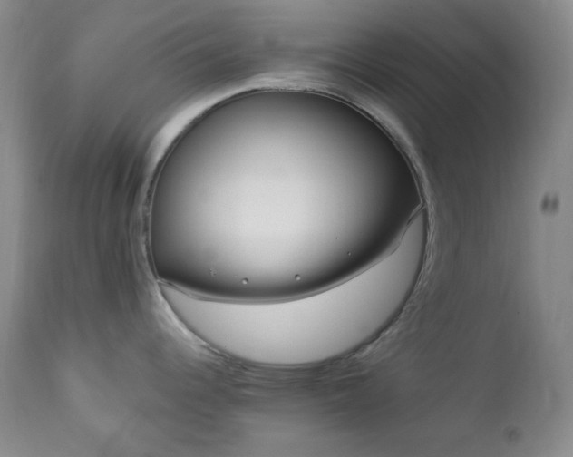 X0000113121344200908281429