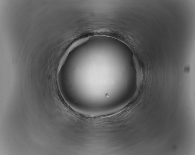 X0000113121345200908281428