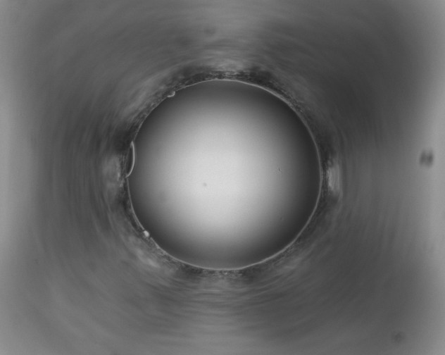 X0000113121347200908281428