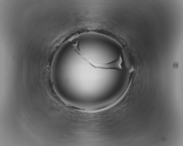 X0000113121349200908281428