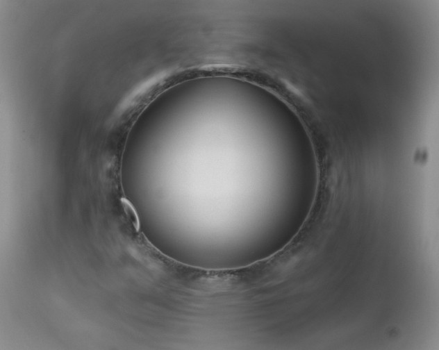 X0000113121351200908281428