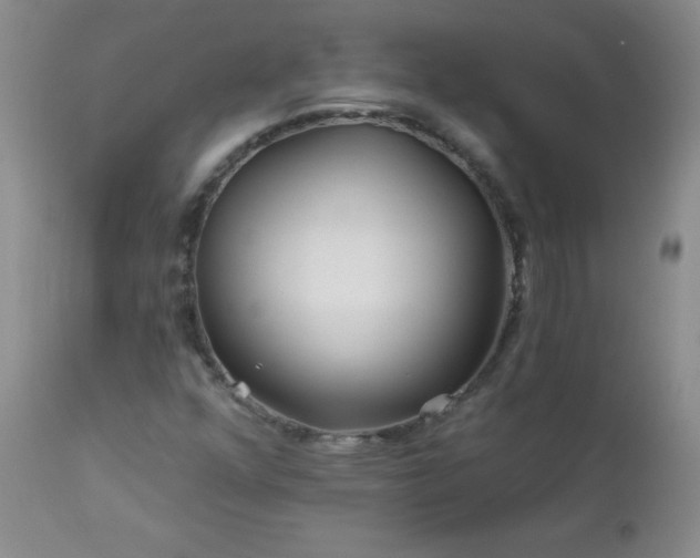 X0000113121352200908281428