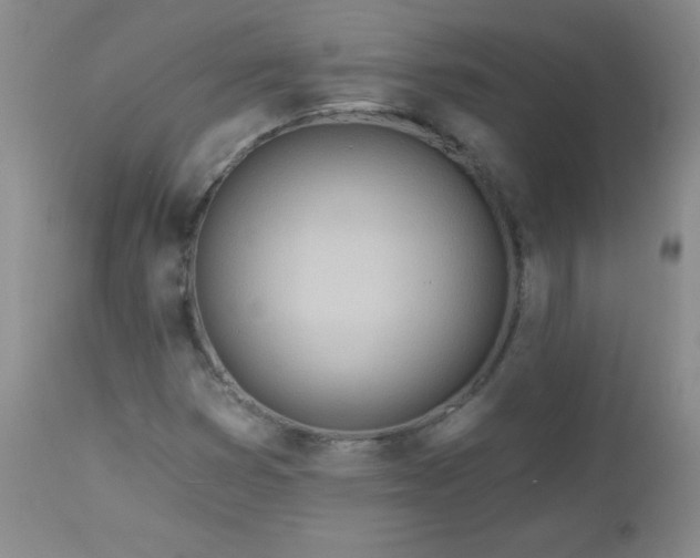 X0000113121353200908281428