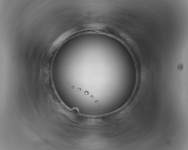 X0000113121354200908281428