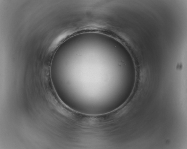 X0000113121355200908281428