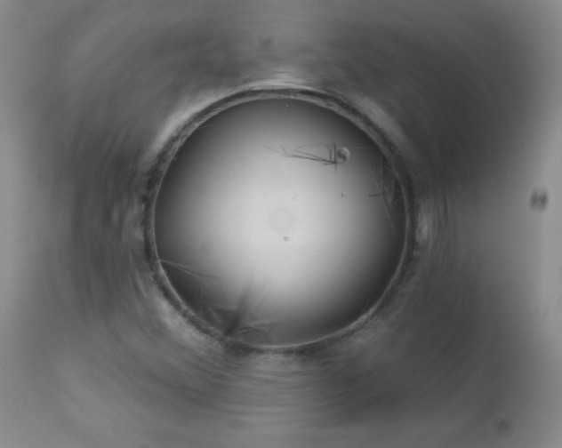 X0000113121356200908281428