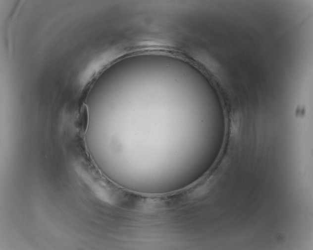 X0000113121357200908281428