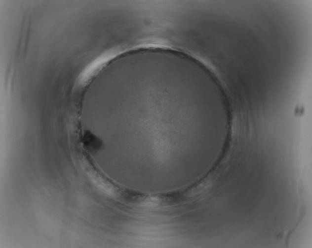 X0000113121359200908281428