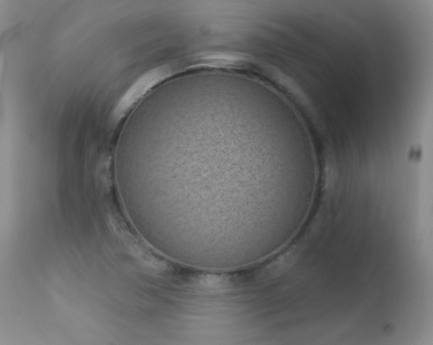 X0000113121362200908281428