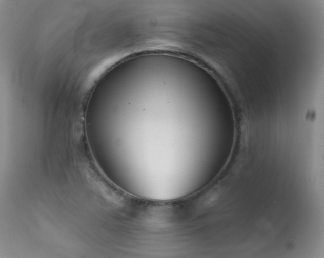 X0000113121363200908281428