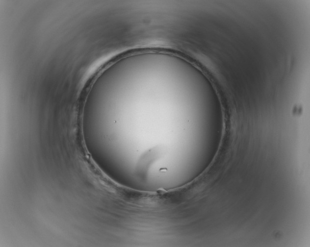 X0000113121364200908281428