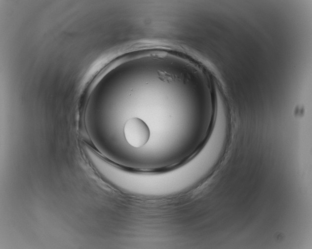 X0000113121365200908281428