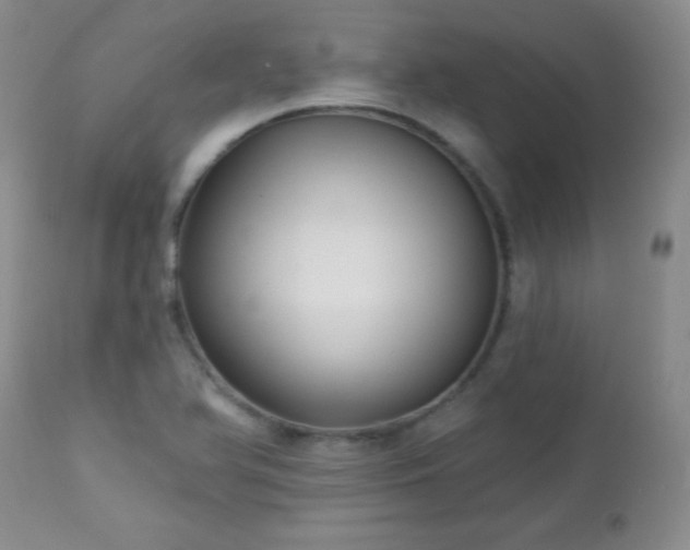 X0000113121366200908281428