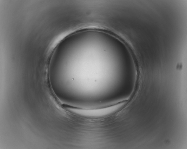 X0000113121367200908281428