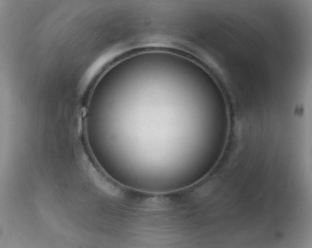 X0000113121368200908281428