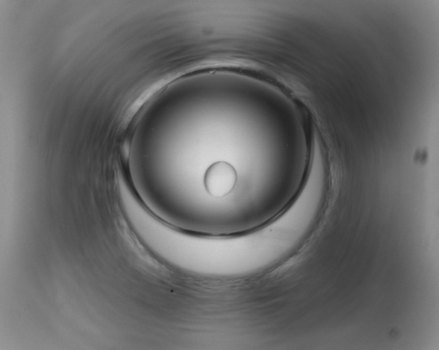 X0000113121369200908281428