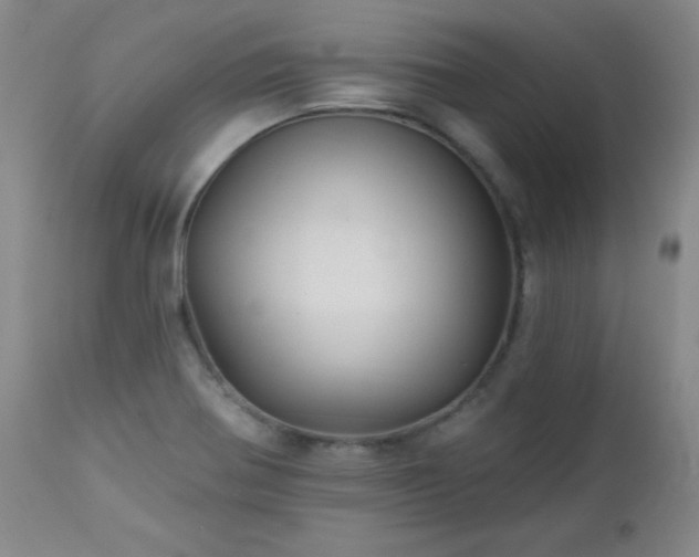 X0000113121370200908281428