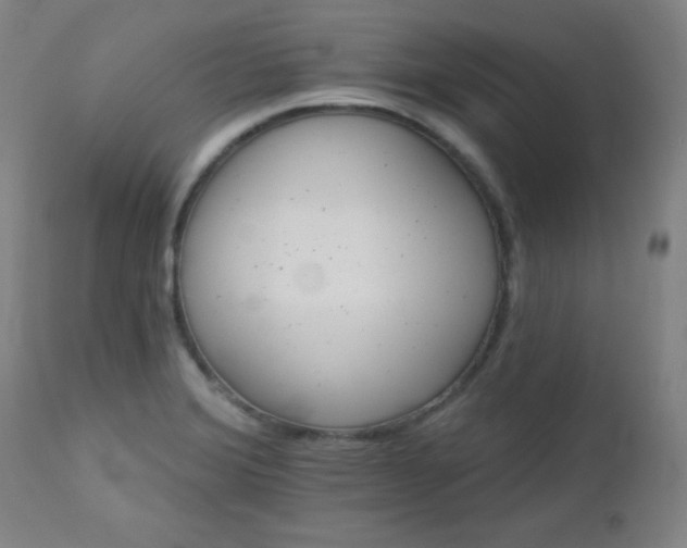 X0000113121372200908281428